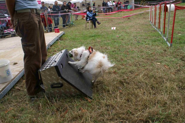 foire-haricots 2011-09-17et18